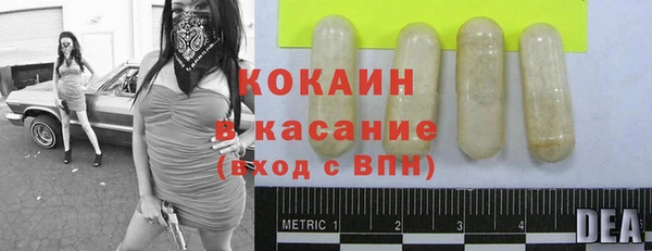 амф Козловка