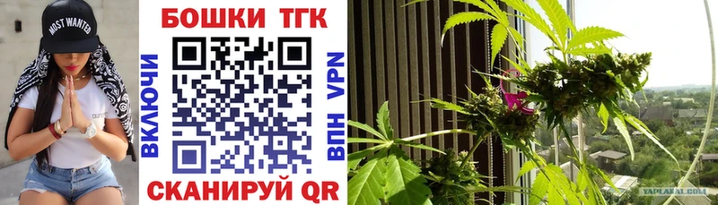 Шишки марихуана гибрид  Михайловка 
